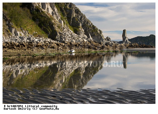 �����, �������� ����, ���������, �����, ������, �����