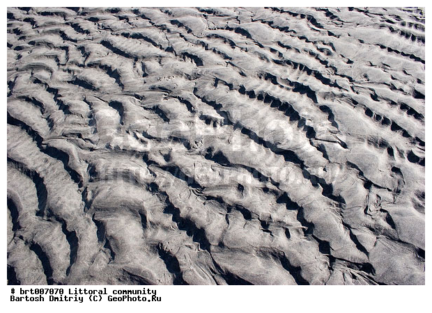 ������� ���, �������� ����, �����, �����, ������