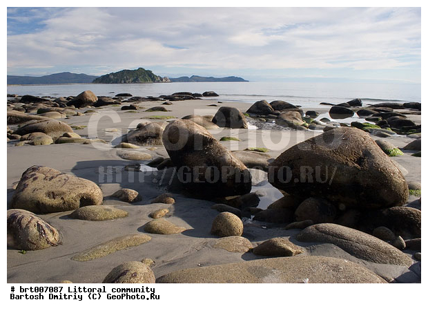 �������� ����, �����, �����, ������, �����