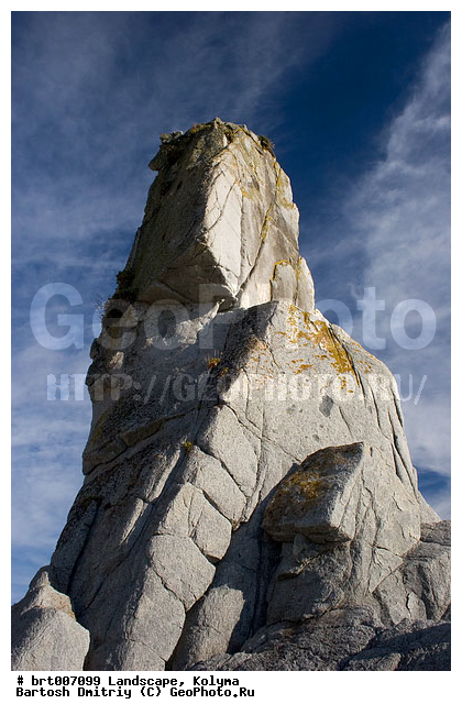 ������, �������, �������� ����, ���, ������� �����, ���������, ������, ���������, �����