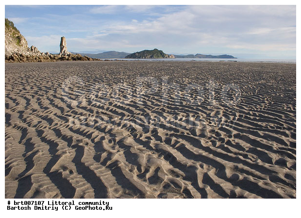 �����, �������� ����, ���������, �����, ������, �����