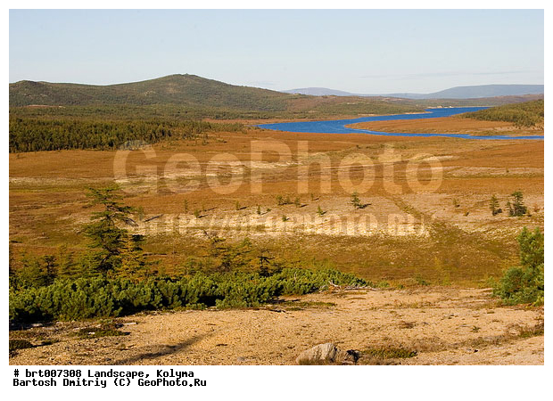 ������, ����������� ��������, �����, ������, �����, �����