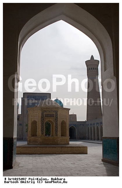 ������, �����, ���-�����, ������� ����, ����������, ��������, ��������� ����, ��������, ������, ������ �����, ��������, ������