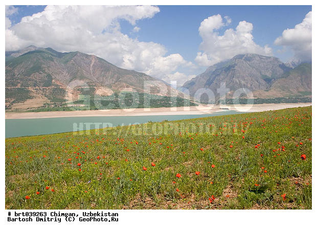 ����-����, ����������, ������, �������������, ����, ���, ���, ������� ����, ������, �����, ���������, ����