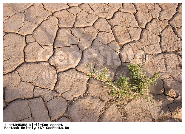 �����-���, ����������, ����, ������, ����, ����, ��������������, ������� �������, ������� �����, �������, ����������� �������, ������, ������� ����, �������