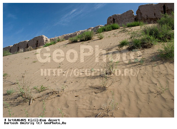 ����������, �����-���, ����������, ����, ������, ����, ����, ��������������, ������� �������, ������� ������, ����� �������, �����, �������, ������� ����