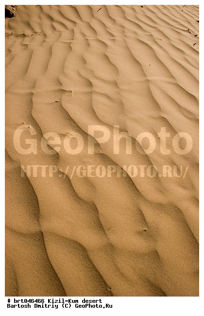 �����-���, ����������, ����, ������, ����, ����, ��������������, ������� �������, ����� �������, �����, �������, ������� ����