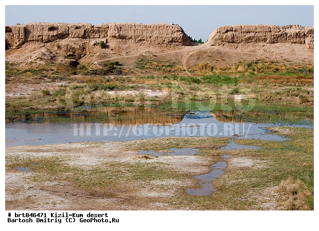 ����������, �����-���, ����������, ����, ������, ����, ����, ��������������, ������� �������, ������� ������, ����� �������, �����, �������, ������� ����