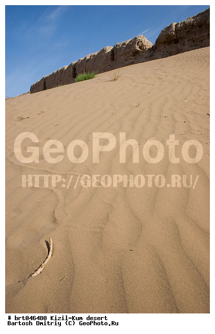 ����������, �����-���, ����������, ����������, ����, ������, ����, ����, ��������������, ������� �������, ������� ������, ����� �������, �����, �������, ������� ����