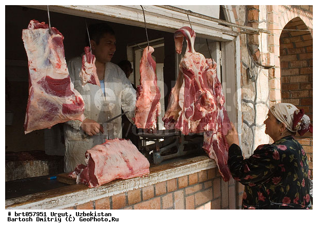 ����������, �����, �����, ��������, ��������� �����, ����, ����������, ��������, �����, ������ ����, ����� ����