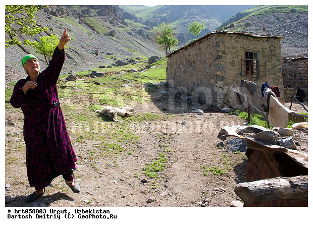 ����������, �����, ����������� ���, ������ ���, ���, �������, ������, ����� ��������, �������