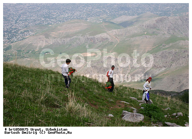 ����������, �����, ����, ����, �������� �����, ��������, �����