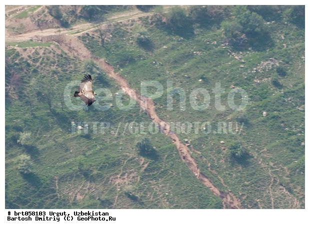 ����������, �����, ����, �����, ������� �����, �����, ��������� �����