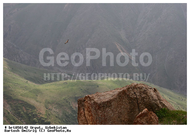 ����-����, ����-������� ����, ����������, �����