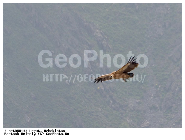 ����������, �����, ����, �����, ������� �����, �����, ��������� �����