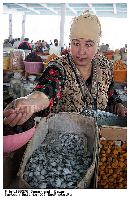 �����, ���������, �������, ����, �����, ������, ����, ����, �������, ���������, ������� ����, �����, ����, ��������, ����������, ����, ��������, �������� ����