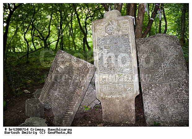 ����������, ����