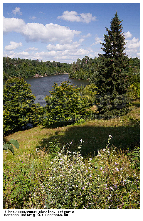 ��������, �������, �����������, ����, �������, ��������, �������