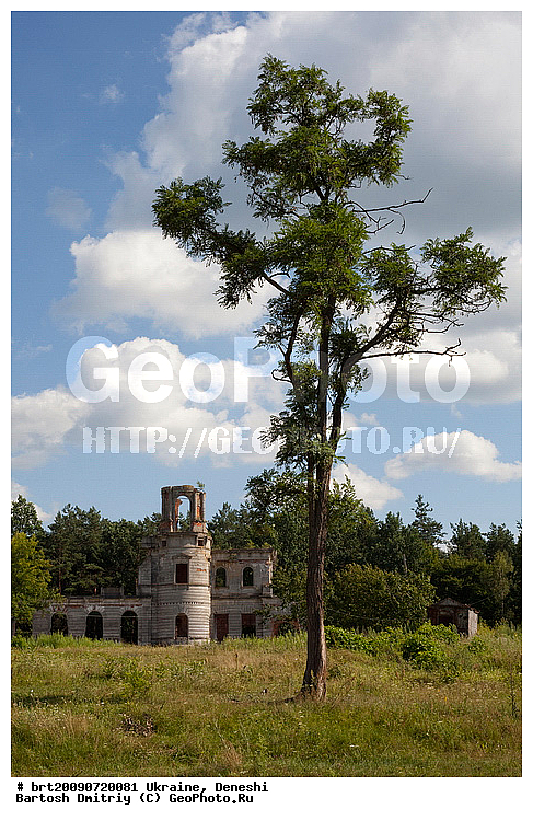 deneshi, tereschenko, ukraine, zhitomir, ������, ������, �����������, �����, ���������, �����, ��������������, ���������, �������, �������