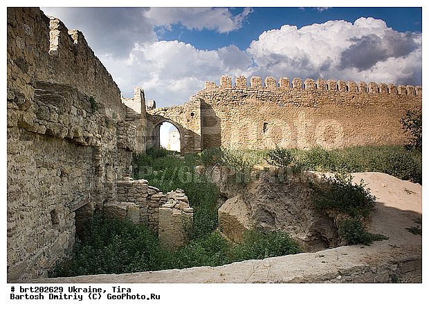 ��������, ��������, ��������-������������, ������������ �����, ����, �������, ������-����, ����������, �����, �����, ��������, ��������, ����