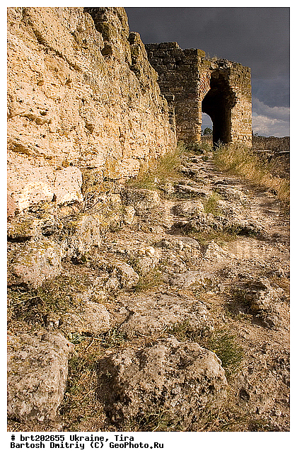 ��������, ��������, ��������-������������, ������������ �����, ����, �������, ������-����, ����������, �����, �����, ��������, ����