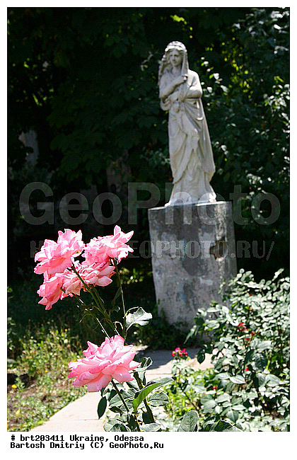 ������, ����������, �����, ������, ����, ���������, ����������, ������, ������������ ������