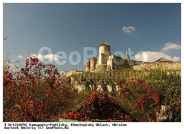 �������, �������-����������, �������, �������, �������, ����������� �������, ���������������������, �����, ��������, ��������-�����, �������� �����������, ����������, ����