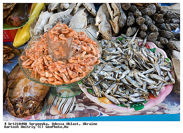 ��������-������������ �����, �������� �������, ���������, �������, ������ ����, ������, �����