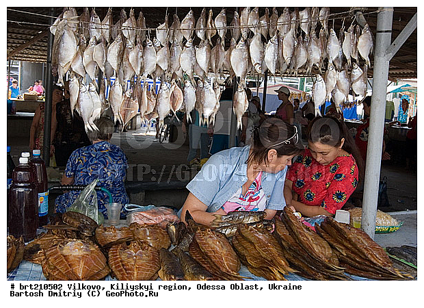 �������, �����, ��������� �����, �������� �������, �������, ���������� �������, ����, ����, ����, �����, ����, ���, �������, ����