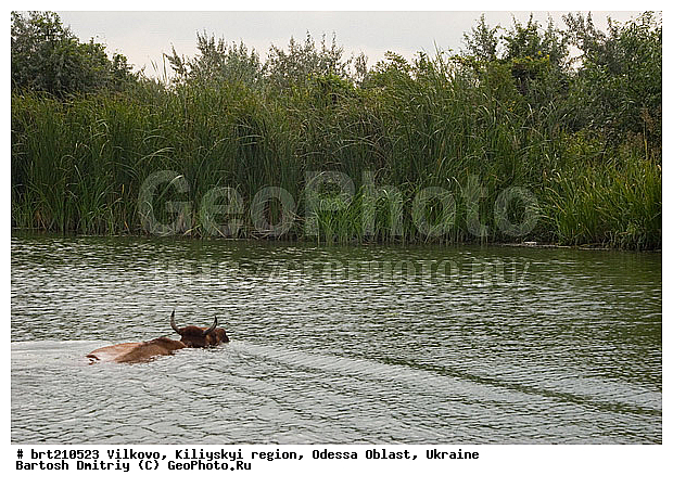 �������, �����, ��������� �����, �������� �������, �������, ���������� �������, ����, �������� ��������, �����, ������, ����, ����� �����, ����, ����, �������