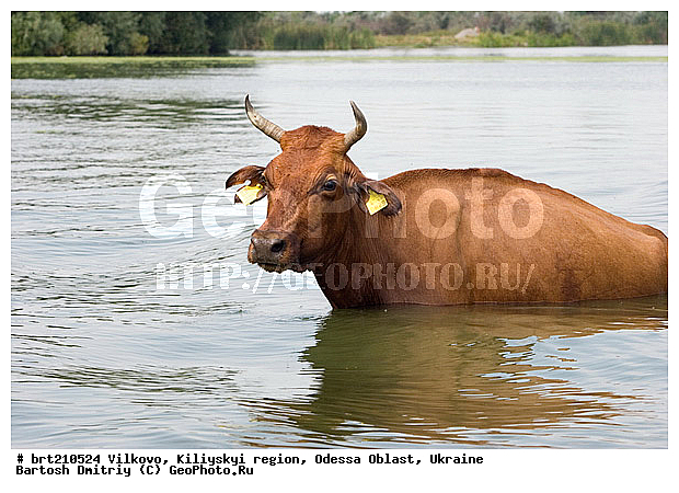 �������, �����, ��������� �����, �������� �������, �������, ���������� �������, ����, �������� ��������, �����, ������, ����, ����� �����, ����, ����, �������