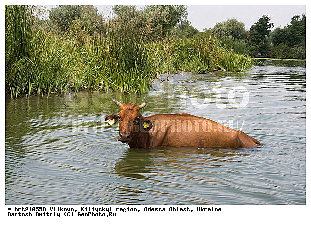 �������, �����, ��������� �����, �������� �������, �������, ���������� �������, ����, �������� ��������, �����, ������, ����, ����� �����, ����, ����, �������