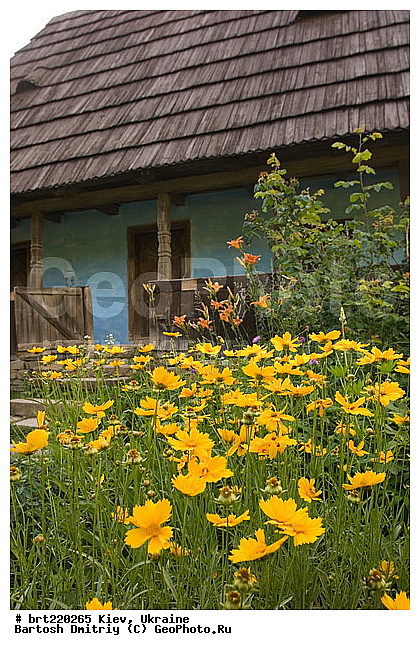 city, kiev, ukraine, ����, ��������, �������, �������, ���, �����, ���, ����������, ����, �������, �����, ������������ �����������, ��������, �������, ����, �����