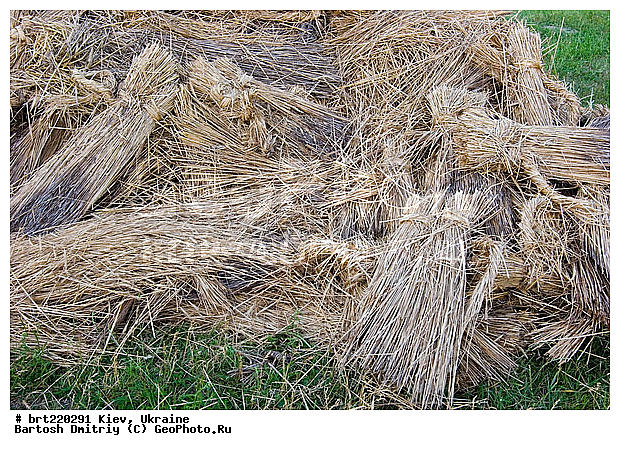 ����, ��������, �������, �����