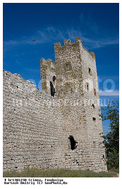 ����, ����, ��������, ����� ������, ���������� ��������, ��������, ������, �������� ����������, ������, ����, �����, ��������, �����