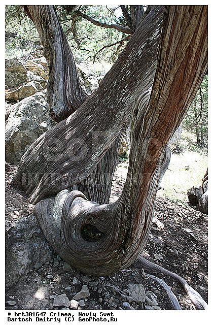 ����, ����� ����, ������, ����������, ������������, ������������, �������