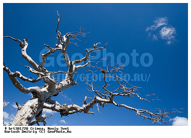 ����, ����� ����, ������, �����, ������, ������, ������, ������ ������