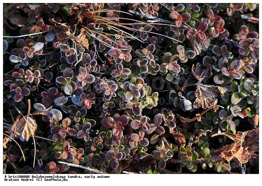 ���������������� ������, ������ �����