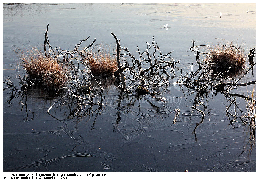 ���������������� ������, ������ �����