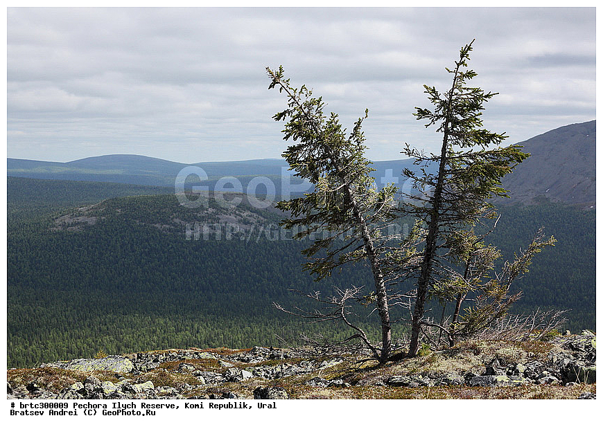 ������-�������� ����������, ����, ����, ����������� ����