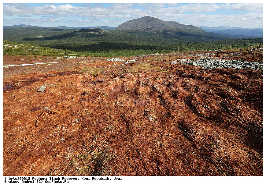 ������-�������� ����������, ����, ����, ����������� ����