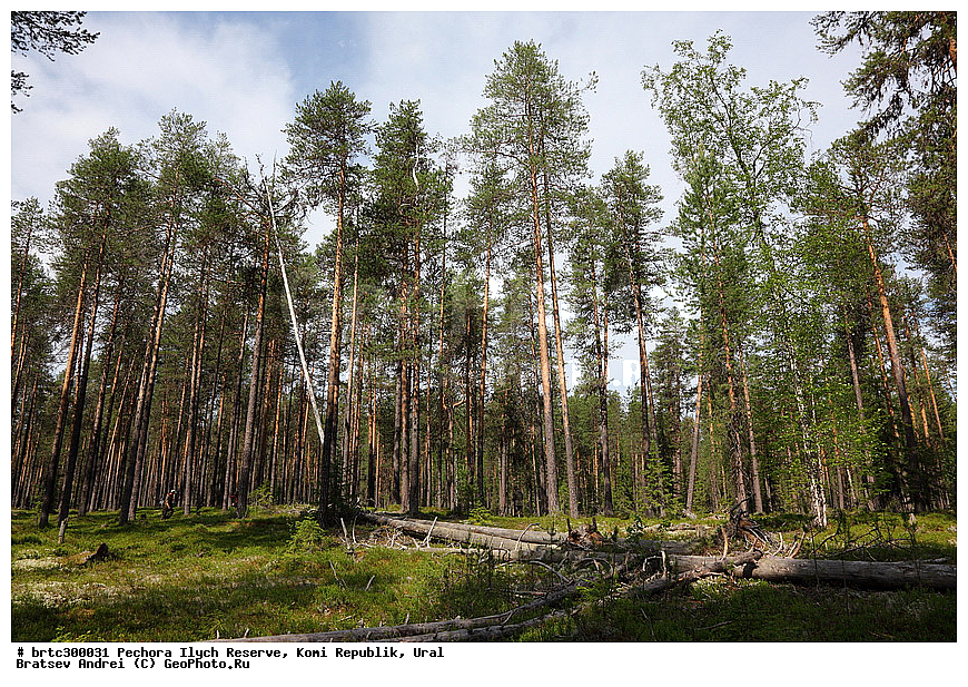 ������-�������� ����������, ����, ����, ����������� ����