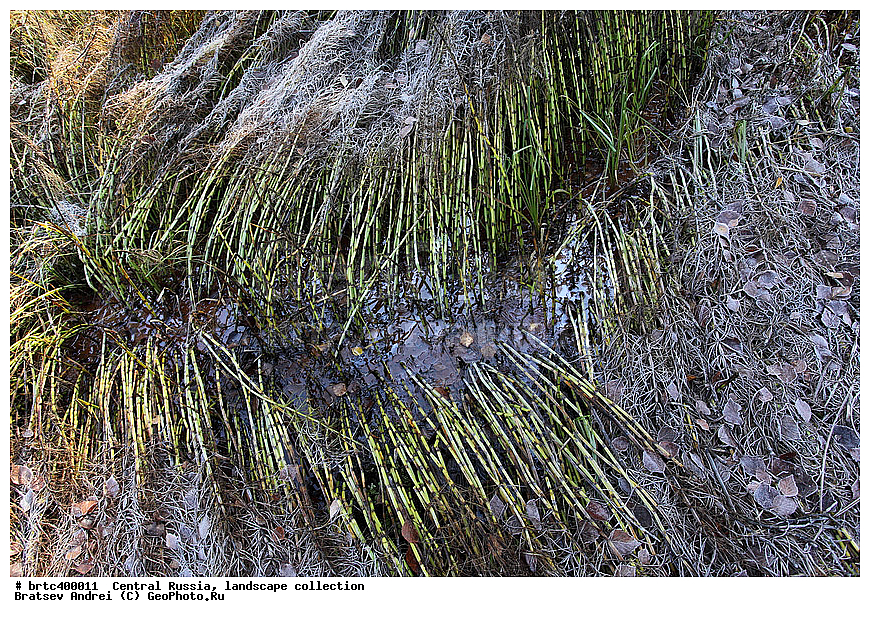 ������, ������� ������, ������, ������, ������� ������