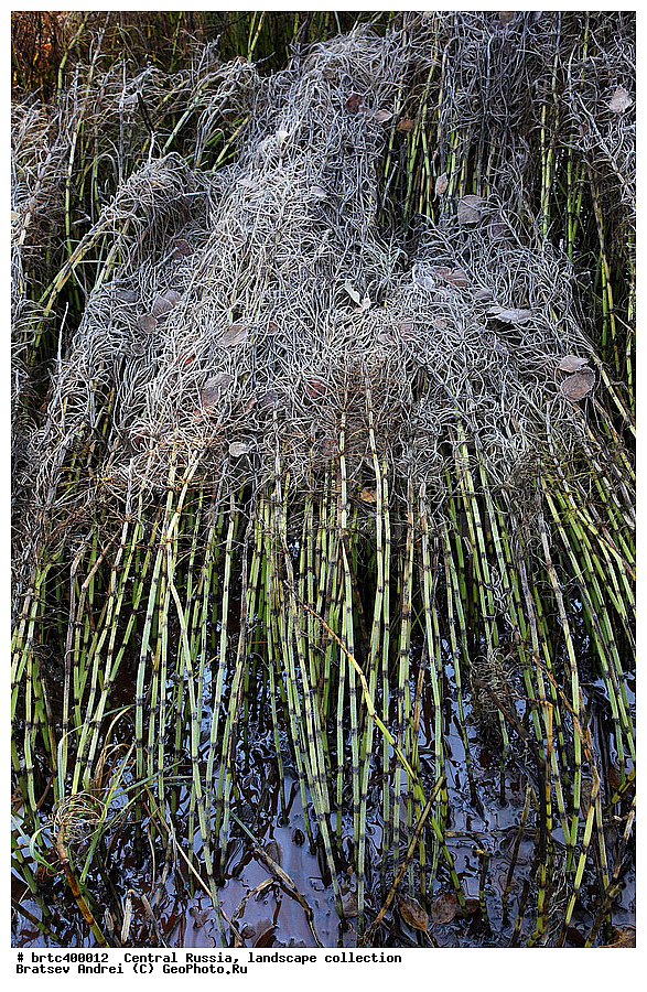 ������, ������� ������, ������, ������, ������� ������