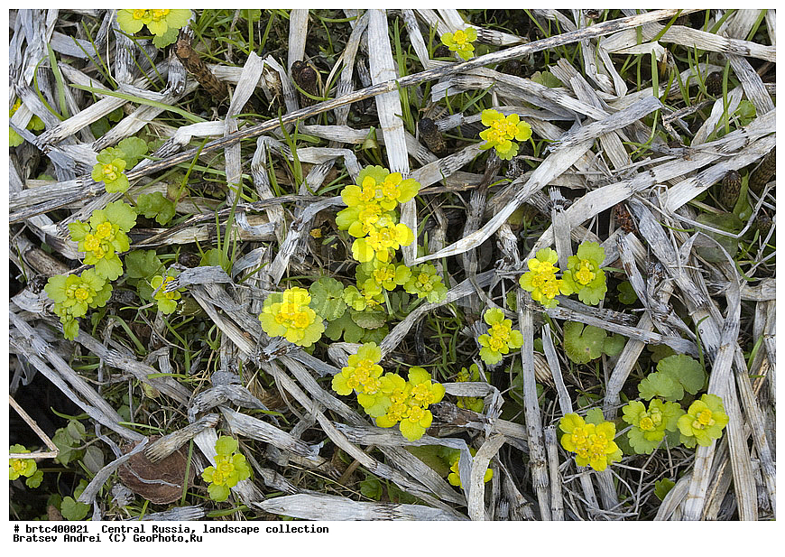 ������, ������� ������, ������, ������, ������� ������