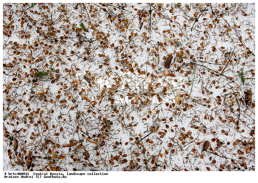 ������, ������� ������, ������, ������, ������� ������