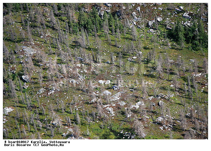 ����������, �������, �������, ��� ������, ����, ����, �����, ��������, ����, ��������