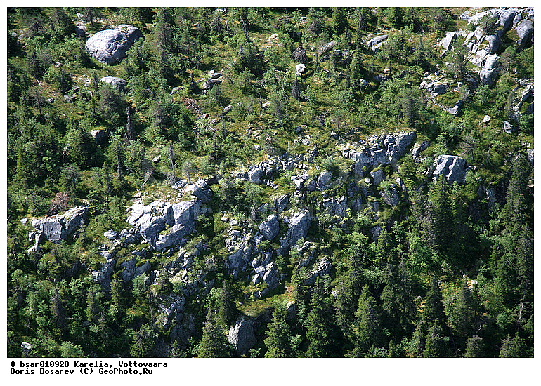 ����������, �������, �������, ��� ������, ����, ����, �����, ��������, ����, ��������