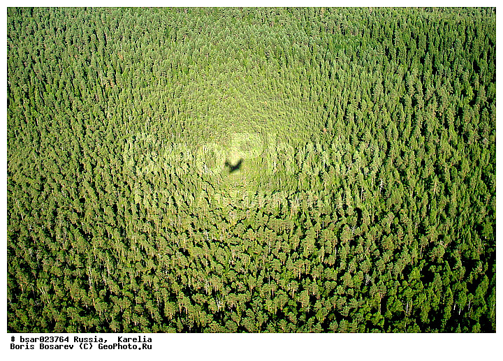 �������, ������, ������, ���������������, ��������� �����, ������ ������, �����������, �����, �����, �����, ��������, ��������������, ���������������, �������, �����, ����, ������� �������, ������