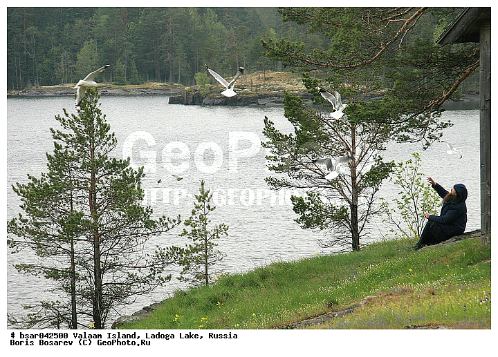 ������, �������, ������, ��������� �����, ���������, ����������, ������, ������� ����, �������, ������, �����, �����, ������